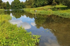 Figure17. View of the lake, Yorkshire Arboretum.