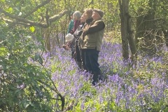 Bluebell finders