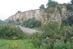 Warmsworth Quarry