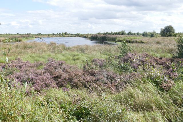 Thorne Moor, view from the North West