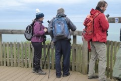 From the viewing platform, Bemptonn Cliffs